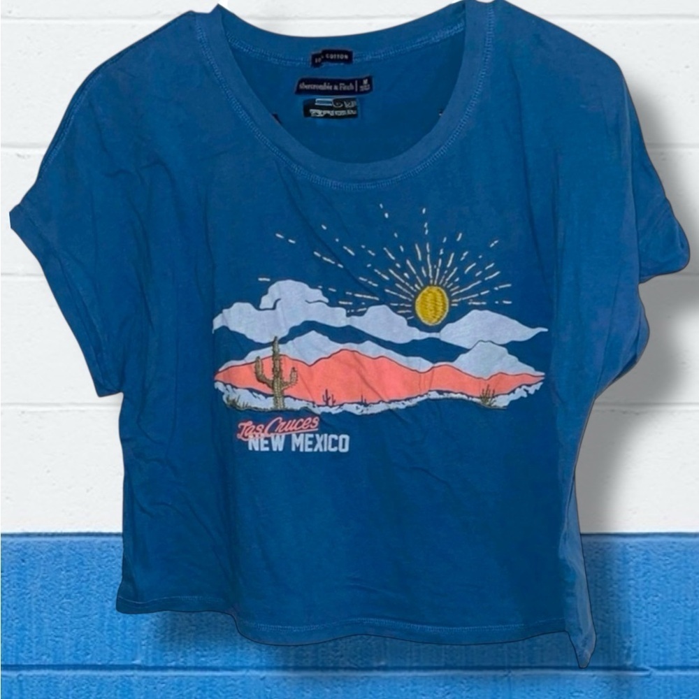 🌺ABERCROMBIE & FITCH CROP TEE SHIRT